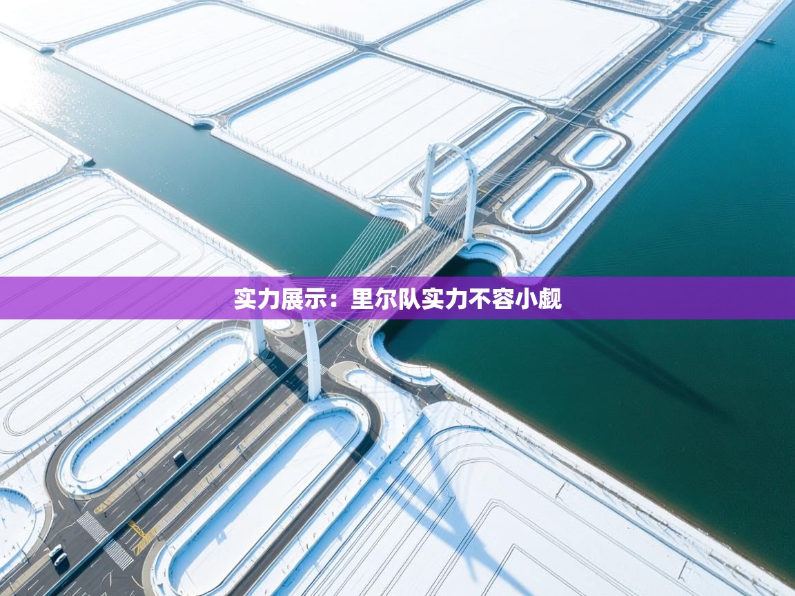 实力展示：里尔队实力不容小觑